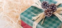 Green_wrap_ideas