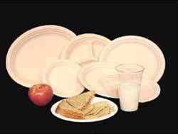 biodegrad-picnicware.jpg