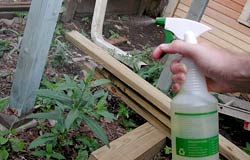 gardenspray1.jpg