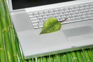 green-computer-leaf-300x1991