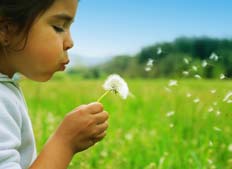 www.earthday.net www.earthday.net