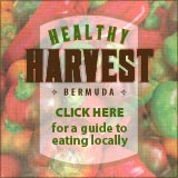 Healthy Harvest - A guide to eating locally.