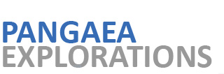 panex_logo.jpg