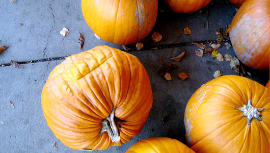 TRICK OR TREAT FOR EVERYONE: Don't just trash that pumpkin. pumpkins1